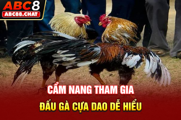 Cẩm nang tham gia đấu gà cựa dao dễ hiểu