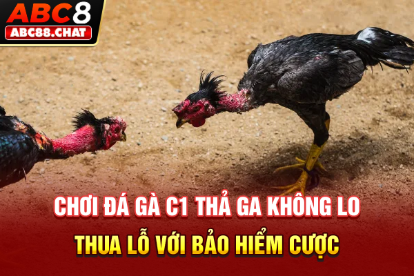 Chơi đá gà C1 thả ga không lo thua lỗ với bảo hiểm cược