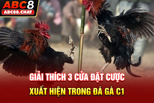 Giải thích 3 cửa đặt cược xuất hiện trong đá gà C1